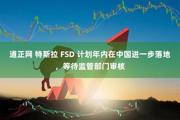 道正网 特斯拉 FSD 计划年内在中国进一步落地，等待监管部门审核