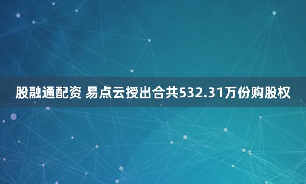 股融通配资 易点云授出合共532.31万份购股权